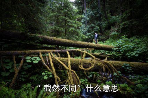 截然不同的反義詞,完全不同，天壤之別，大是大非，完美不同
