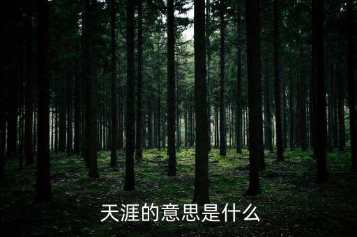  天涯的意思是什么