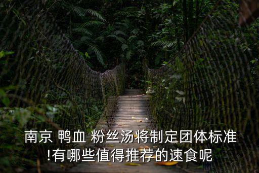 南京鴨血粉絲,金陵獅城血粉絲湯南京最真實!