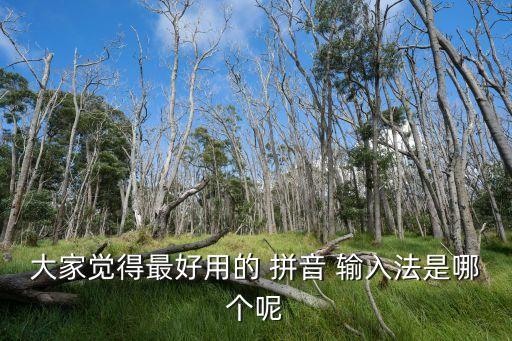 大家覺得最好用的 拼音 輸入法是哪個呢