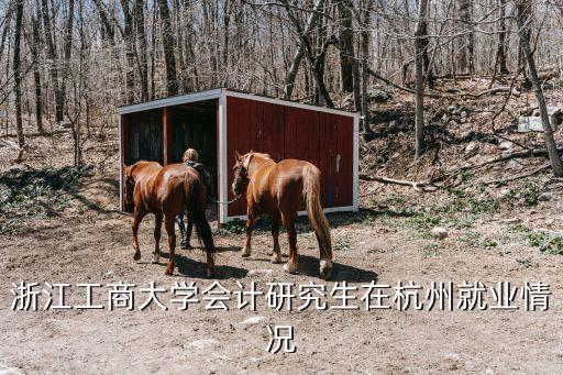 浙江工商大學(xué)會計研究生在杭州就業(yè)情況