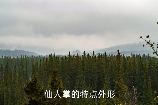 仙人掌的介紹,仙人掌的特點