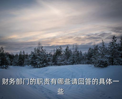 財務部門的職責有哪些請回答的具體一些