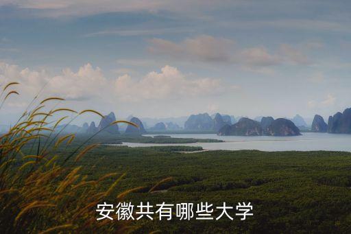 安徽高校，安徽有哪些大學(xué)