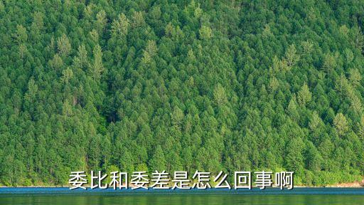 委比和委差是怎么回事啊
