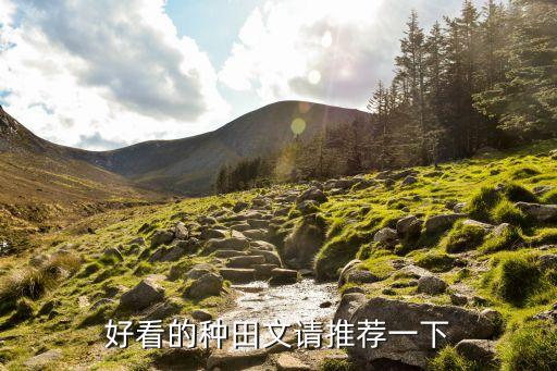 好看的種田文請(qǐng)推薦一下