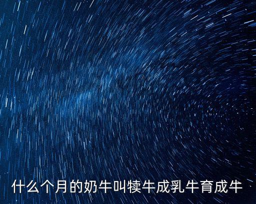 什么個月的奶牛叫犢牛成乳牛育成牛