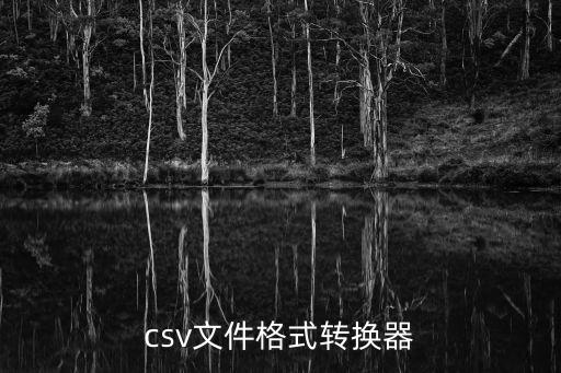csv格式，csv文件格式轉換器