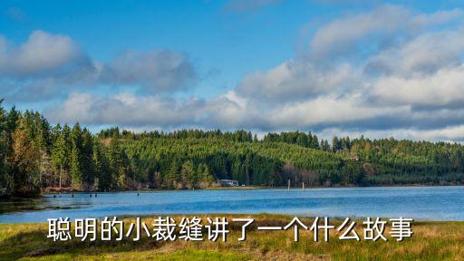 聰明的小裁縫講了一個(gè)什么故事