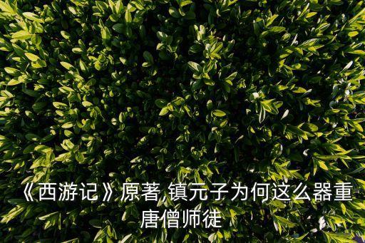 唐三藏圖片,原來(lái)是為了保護(hù)唐三去西天取經(jīng)?