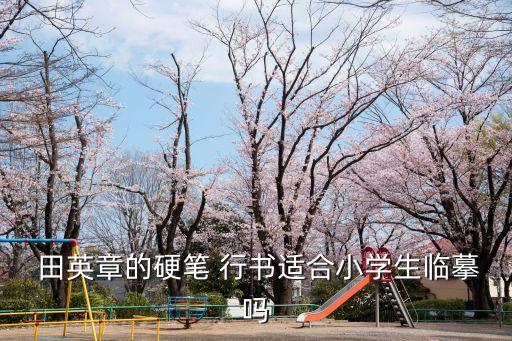 田英章行書,司馬炎和田英章的成長歷程