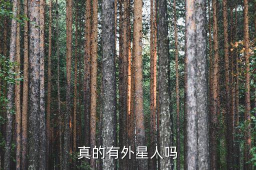 真的有外星人嗎