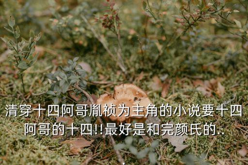 只是為了遇見你,第二集:女主與四爺的愛情故事