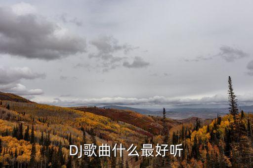 DJ歌曲什么最好聽