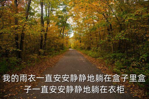 我的雨衣一直安安靜靜地躺在盒子里盒子一直安安靜靜地躺在衣柜