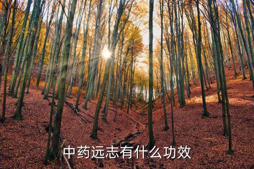 遠(yuǎn)志的功效，遠(yuǎn)志和蓮子芯都有什么功效有毒副作用嗎