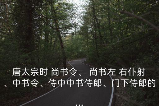尚書右仆射,新加坡領導人的職位分布
