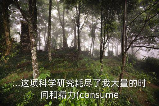 consumed,堅毅向前預(yù)算案