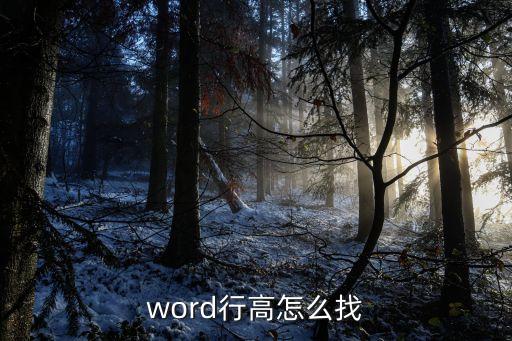 word行高怎么找