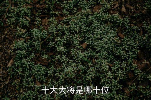 十大大將是哪十位