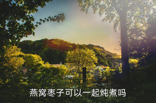 紅棗燕窩，燕窩棗子可以一起燉煮嗎
