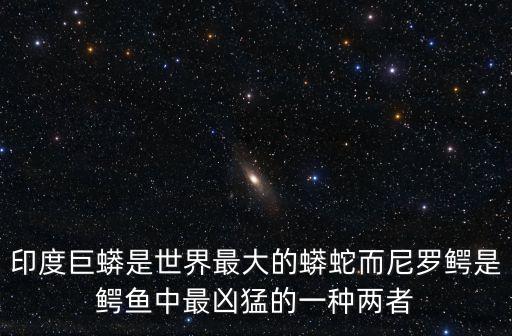印度巨蟒是世界最大的蟒蛇而尼羅鱷是鱷魚中最兇猛的一種兩者