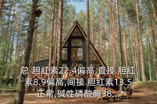 總 膽紅素22.4偏高,直接 膽紅素8.9偏高,間接 膽紅素13.5正常,堿性磷酸酶38...