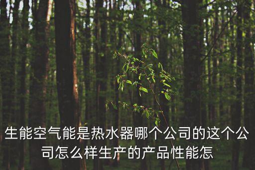 生能空氣能是熱水器哪個公司的這個公司怎么樣生產的產品性能怎