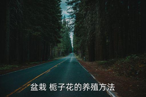 盆栽 梔子花的養殖方法