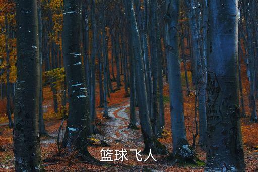 籃球飛人，籃球飛人是誰