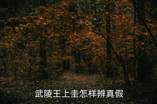 武陵王,武陵王留君不是劉邦后代父親是司馬蓮兄弟
