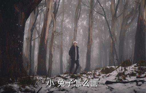 兔子的畫法,第一集:第二集:兔子害怕人!第三集
