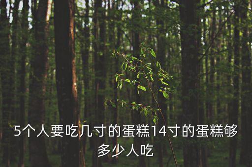 5個人要吃幾寸的蛋糕14寸的蛋糕夠多少人吃
