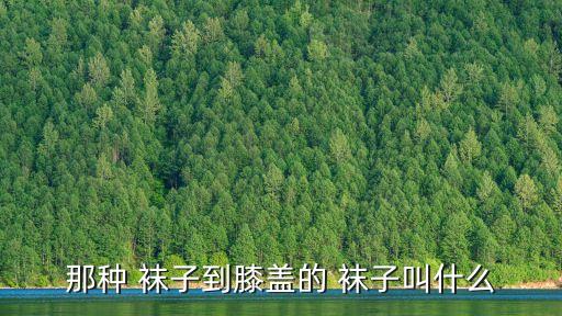 襪子的種類,寶寶的襪子有很多種?