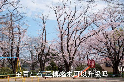 左右互搏,第一集:左右互搏是否需要武功?