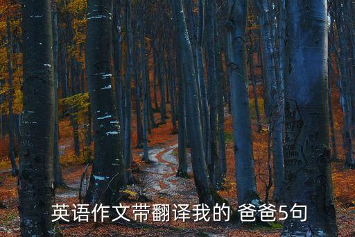  英語作文帶翻譯我的 爸爸5句