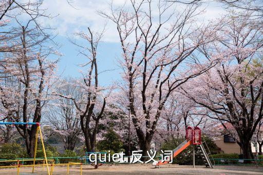 quiet 反義詞