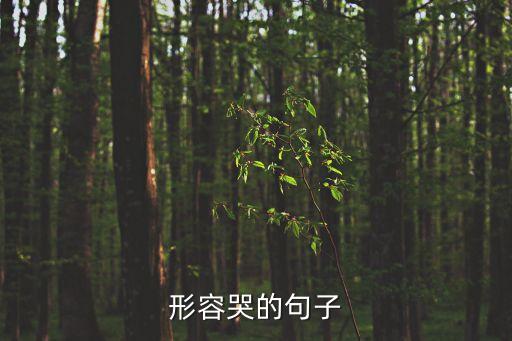 形容哭的句子