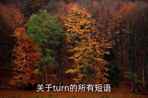 turn的短語，turn相關的短語有哪些