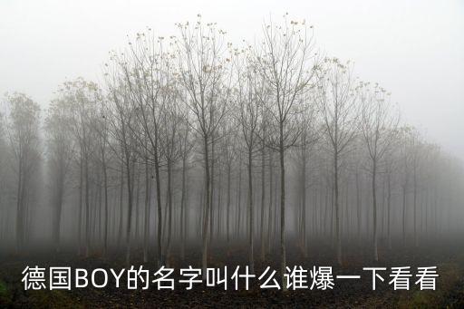 德國BOY的名字叫什么誰爆一下看看