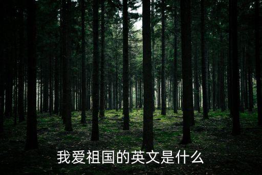 我愛祖國的英文是什么