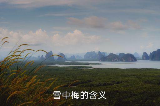 雪中梅的含義