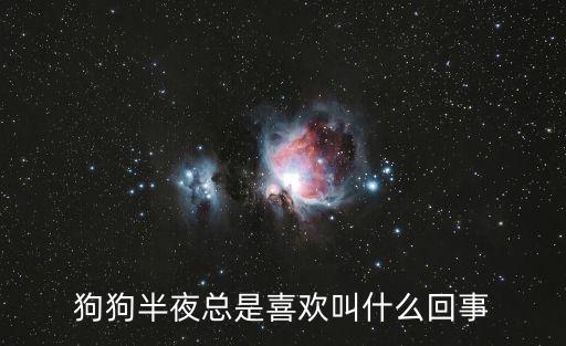 狗狗半夜總是喜歡叫什么回事