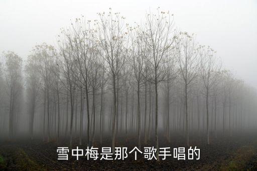 雪中梅是那個歌手唱的