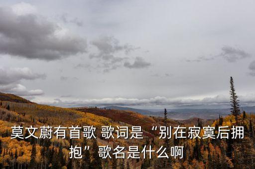 莫文蔚有首歌 歌詞是“別在寂寞后擁抱”歌名是什么啊