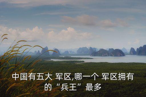 五大軍區,中國人民解放軍戰區包括東部、南部、西部、中部戰區