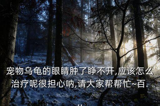 反抗的眼差,我家也是巴西龜大有時候被別人當軟柿子