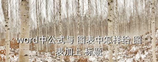 word中公式與 圖表中怎樣給 圖表加上 標題