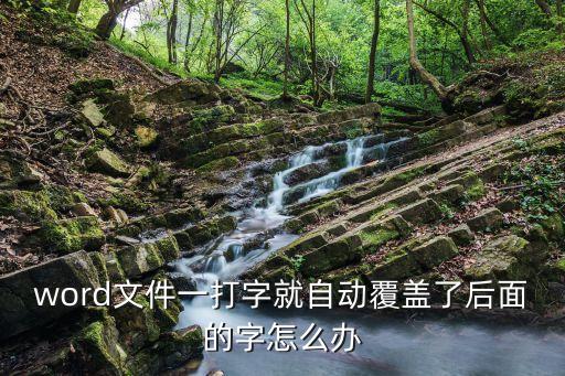 word打字覆蓋，在word里面有時(shí)候輸入漢字會(huì)把后面的漢字覆蓋掉怎么設(shè)置可以輸入