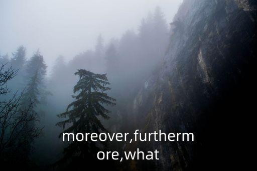 moreover,英國選區(qū)選區(qū)競選廣播